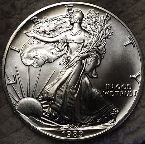 Dearborn's-American-Eagle-Coin-Collection.