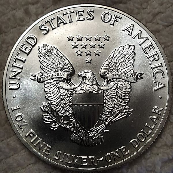 Dearborn's-American-Eagle-Coin-Collection.