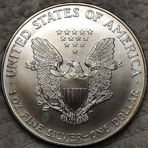 Dearborn's-American-Eagle-Coin-Collection.