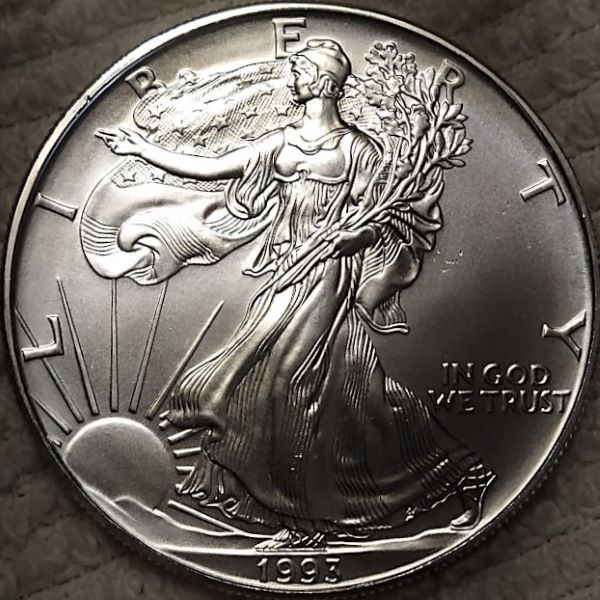 Dearborn's-American-Eagle-Coin-Collection.