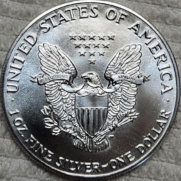 Dearborn's-American-Eagle-Coin-Collection.