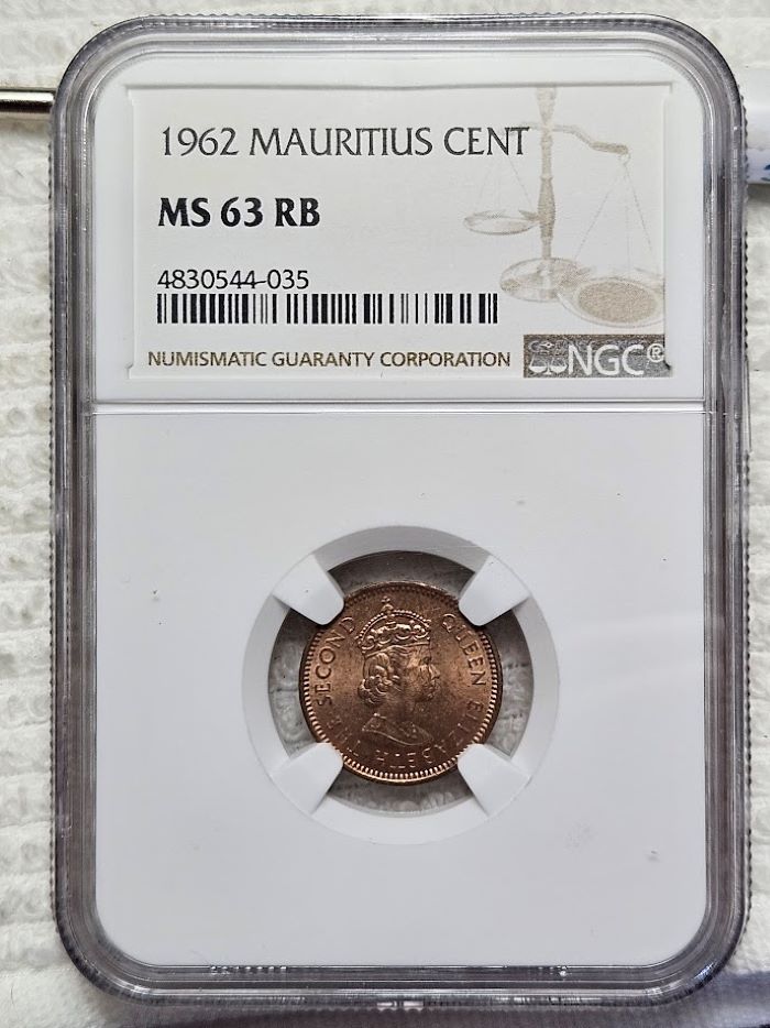 Continuing-List-To-Show-Everyones-Latest-Acquisitions