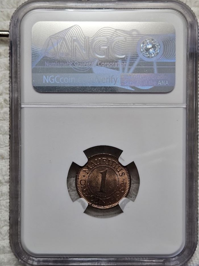 Continuing-List-To-Show-Everyones-Latest-Acquisitions