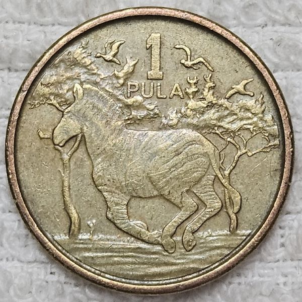 Around-The-World-With-Coins---A-Coin-Geography-Game