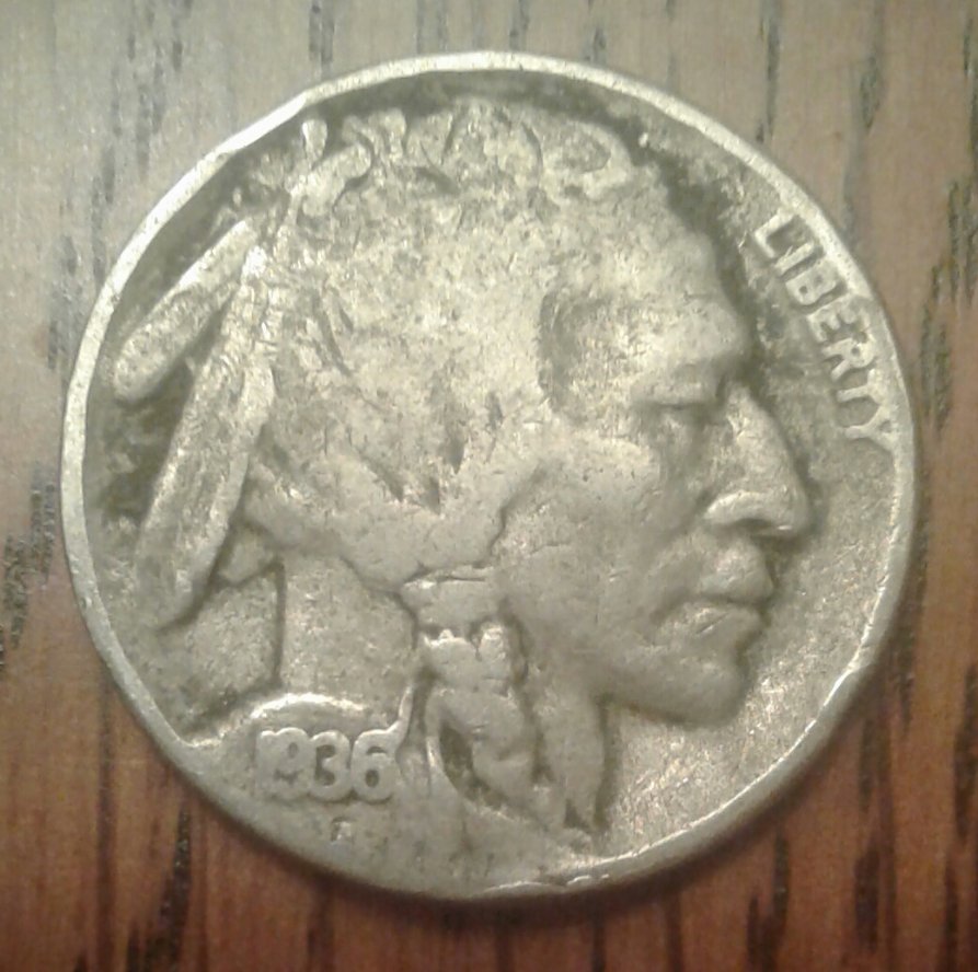 Buffalo-Nickel-Grading-Questions