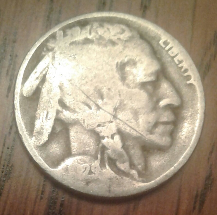 Buffalo-Nickel-Grading-Questions