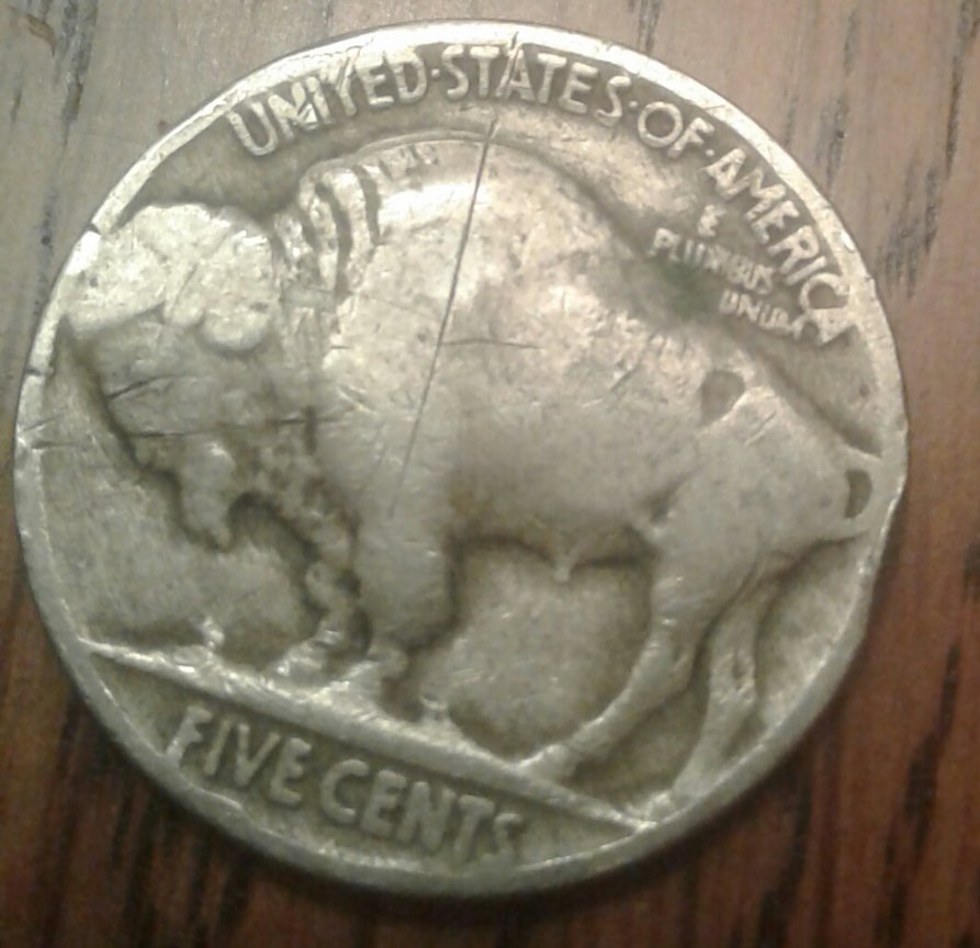 Buffalo-Nickel-Grading-Questions