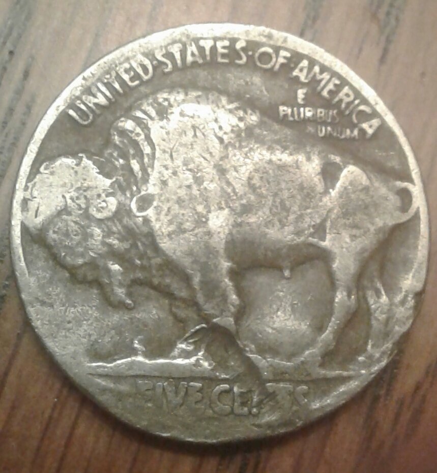 Buffalo-Nickel-Grading-Questions