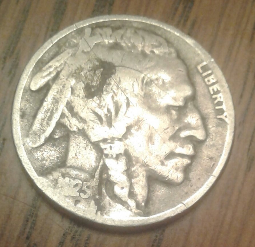 Buffalo-Nickel-Grading-Questions