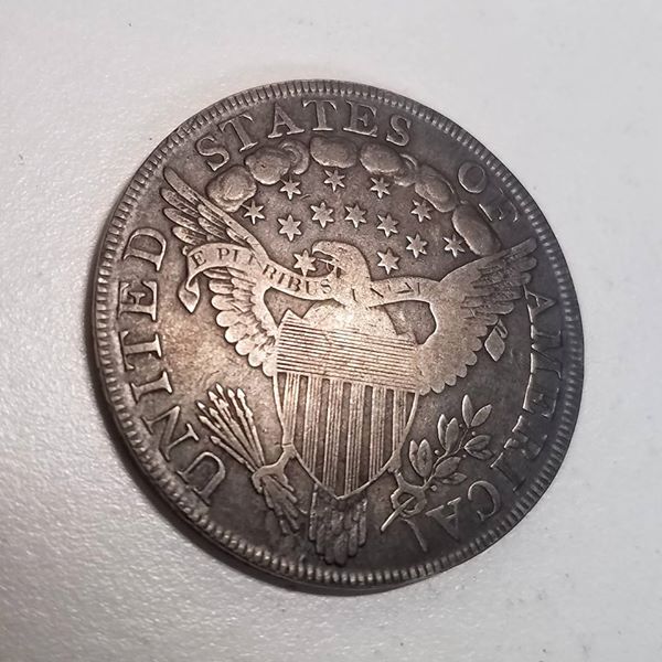 Raw-1800-Bust-Dollar---Need-Opinions