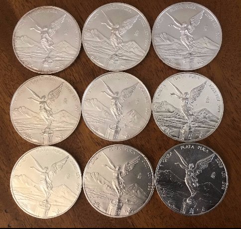 Silver-Bullion-Coin-Series---Photos
