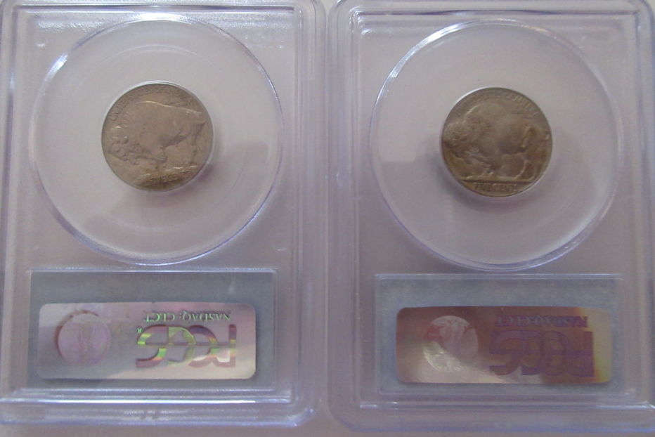 Herd-Of-Buffalo-Nickels