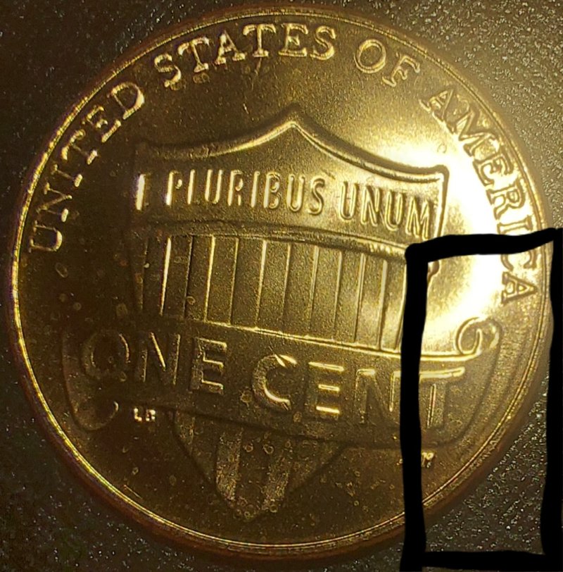 2021-D-Shield-Reverse-Error-Or-No?-Help-Please!
