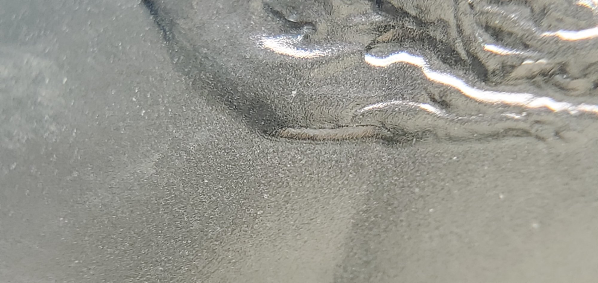 2021-Peace-Dollar-Question