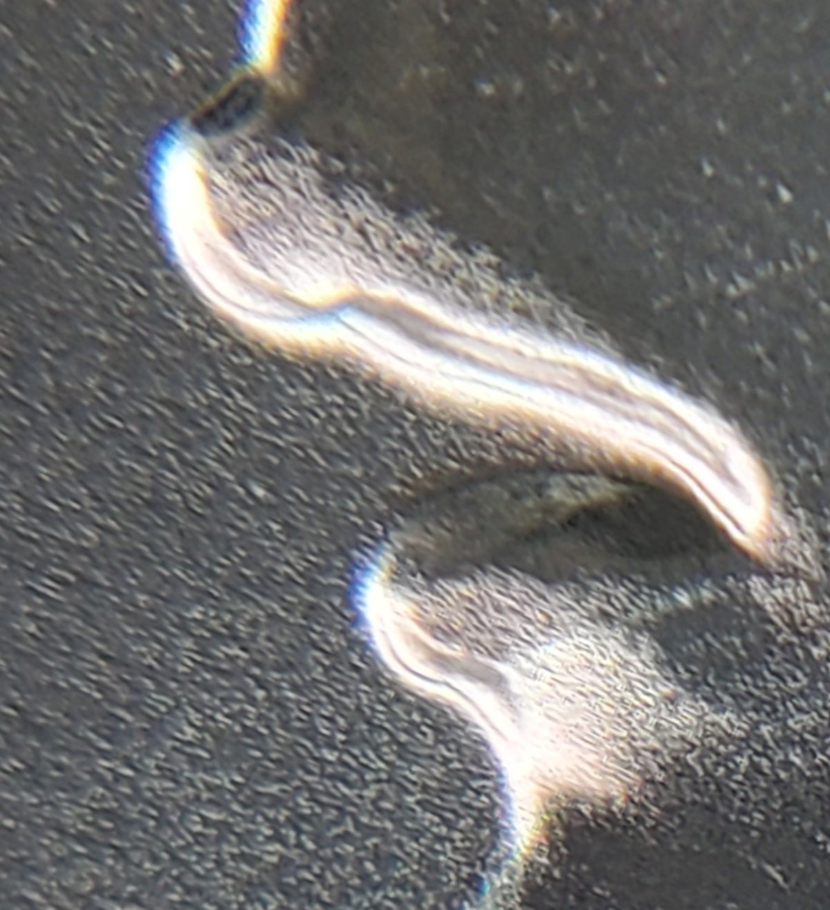 2021-Peace-Dollar-Question