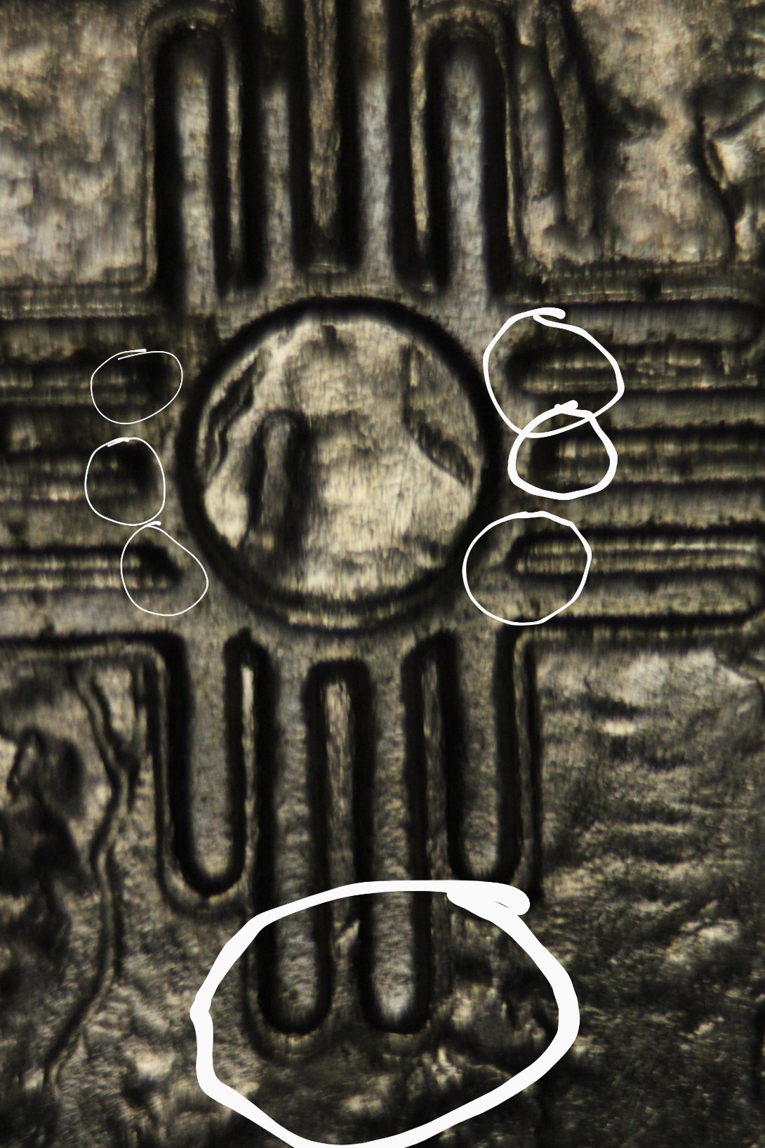 2008-D-New-Mexico-Quarter-Questions