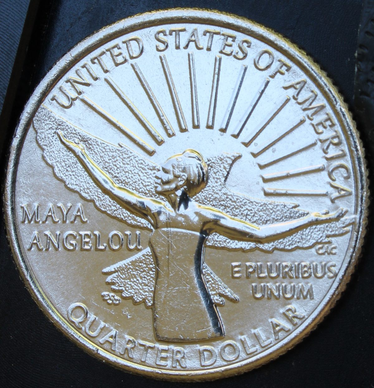 2022-D-Maya-Angelou-Reverse-Question