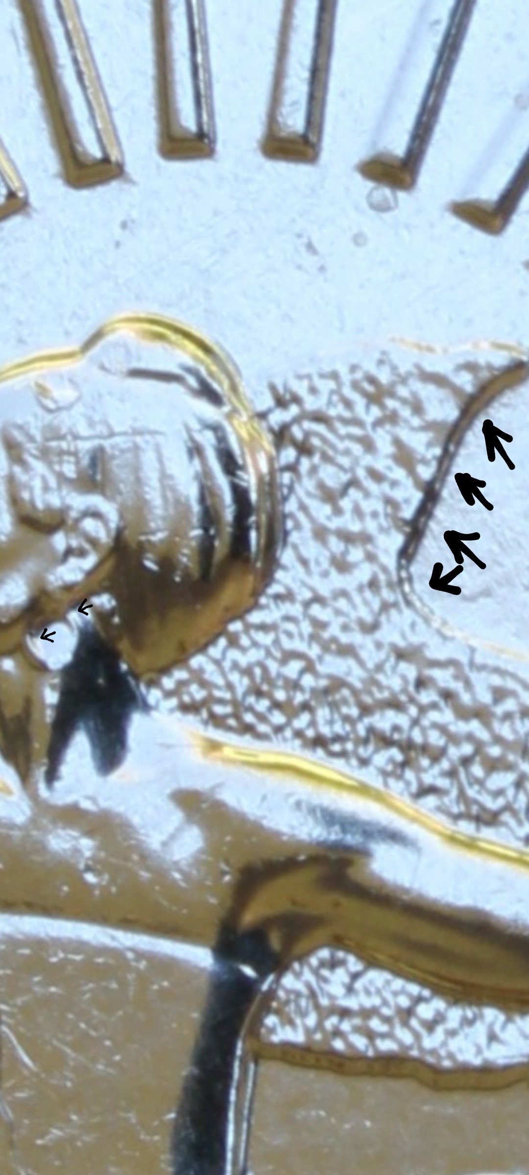 2022-D-Maya-Angelou-Reverse-Question