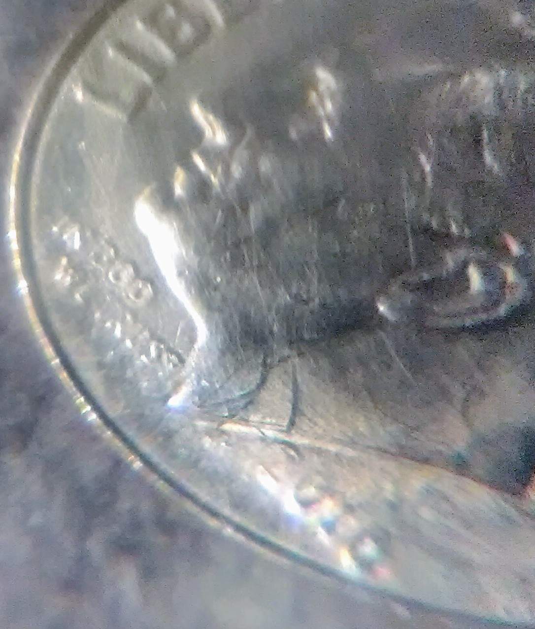 I-Have-A-1998-Quarter-With-A-Nickel-Size-Circle-On-The-Quarter-.-What-Is-It