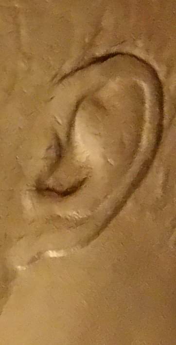 1983-Half-Dollar-Change-From-Store-.