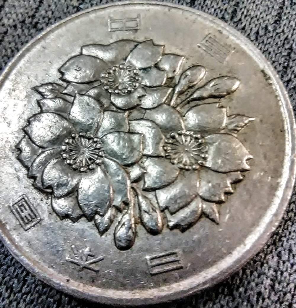 Coin-Cup-I-Bought-For-50$-More-Pics