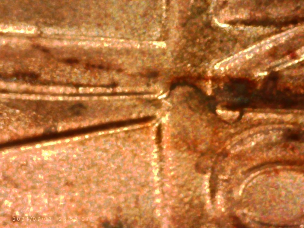 2020-D-1c-Shield-Not-Sure-?
