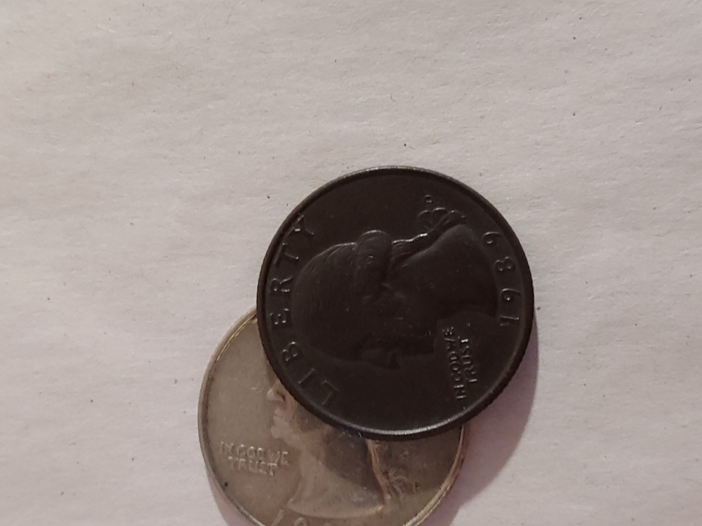 Thanks-For-This-Wonderful-Resource!-Black-Beauty-Error-Quarter?