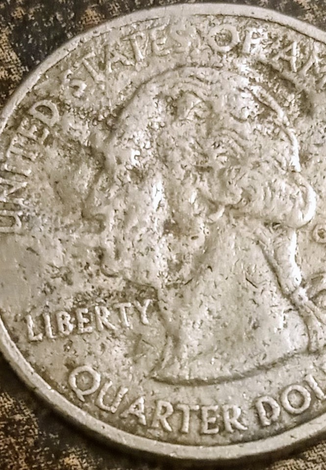 2006-Quarter-Error-I-Don't-Know
