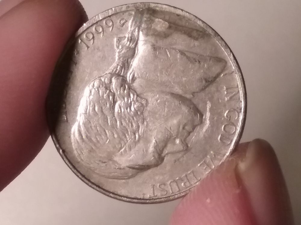 I-Found-3-Rim-Bust-Nickels-One-Has-A-Weird-Circle-On-Obverse