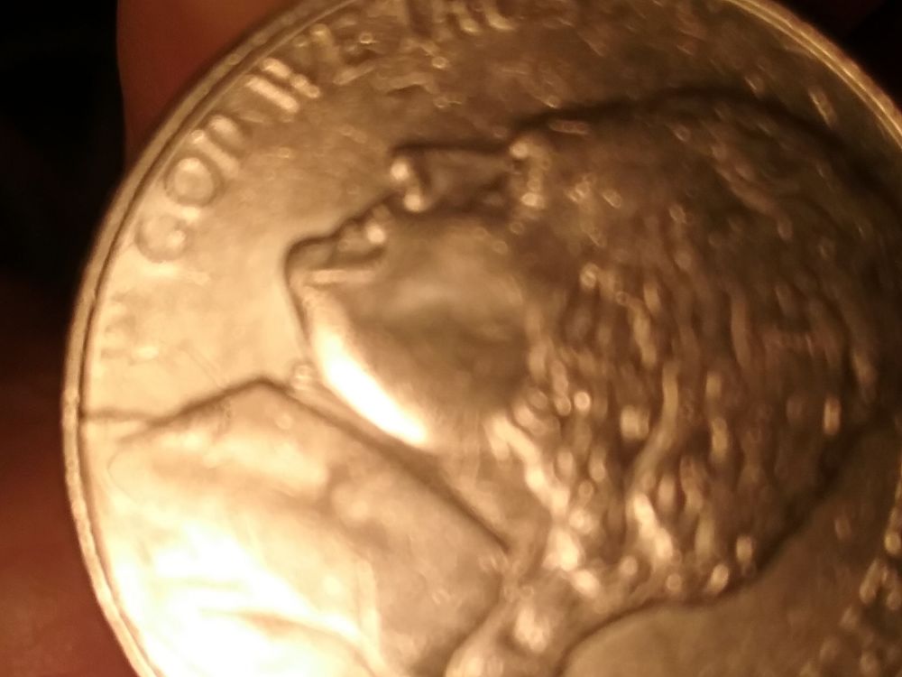 Have-A-2004-D-Peace-Nickel-Missing-In-IGWT
