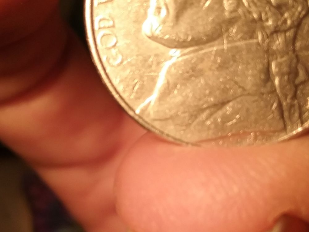 Have-A-2004-D-Peace-Nickel-Missing-In-IGWT