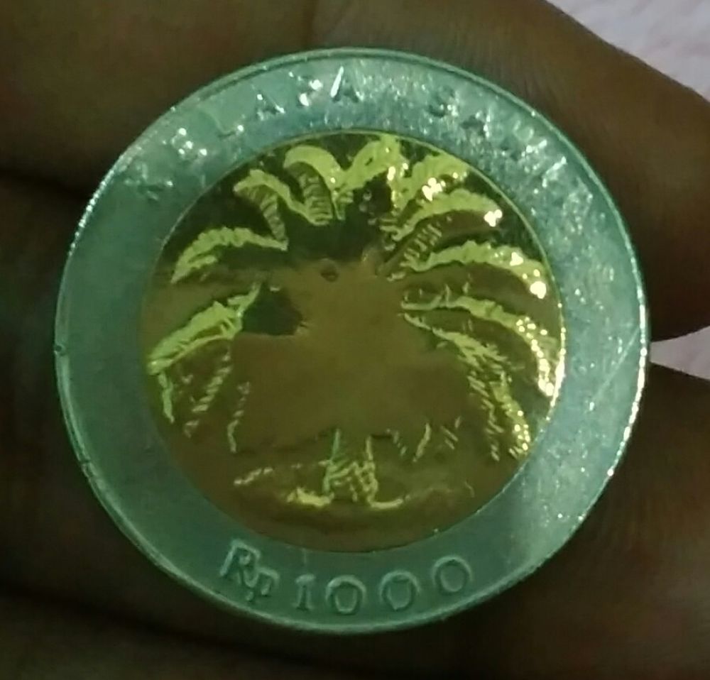 Indonesia-Error-Coin