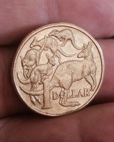 Noodling-Find-Of-The-Week?