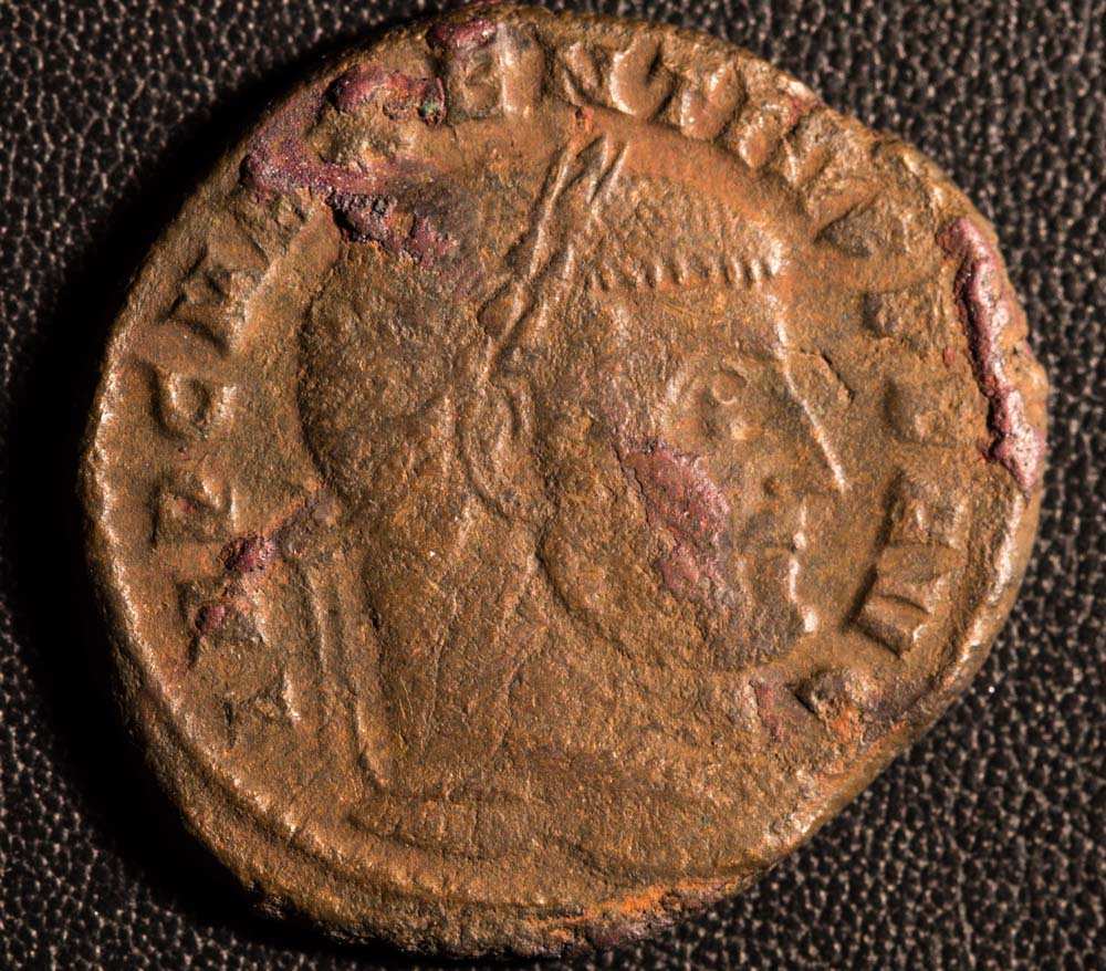 Helping-A-Novice-With-Some-Roman-Coins