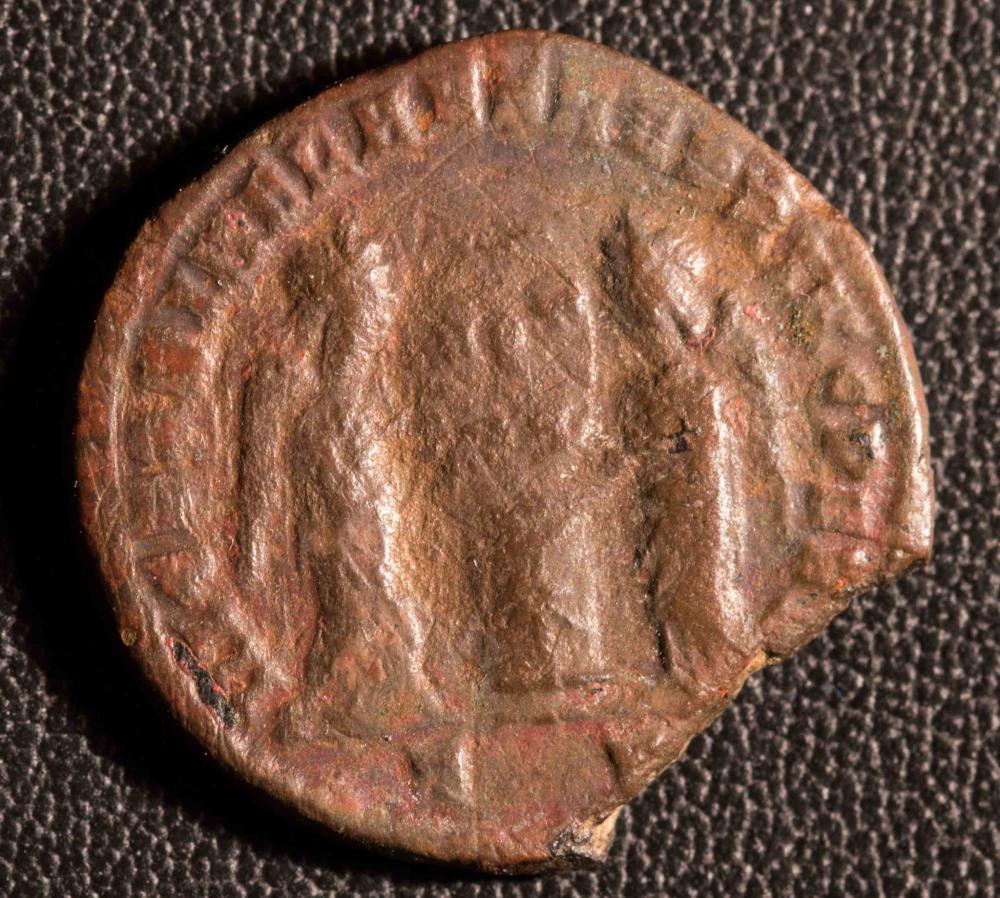 Helping-A-Novice-With-Some-Roman-Coins