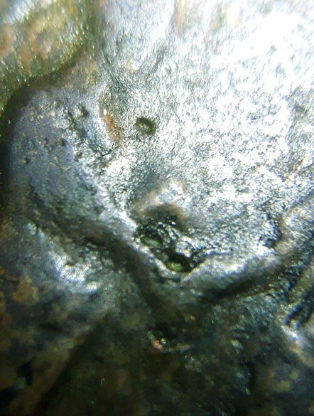 Roman-As-M.aurel---Genuine?