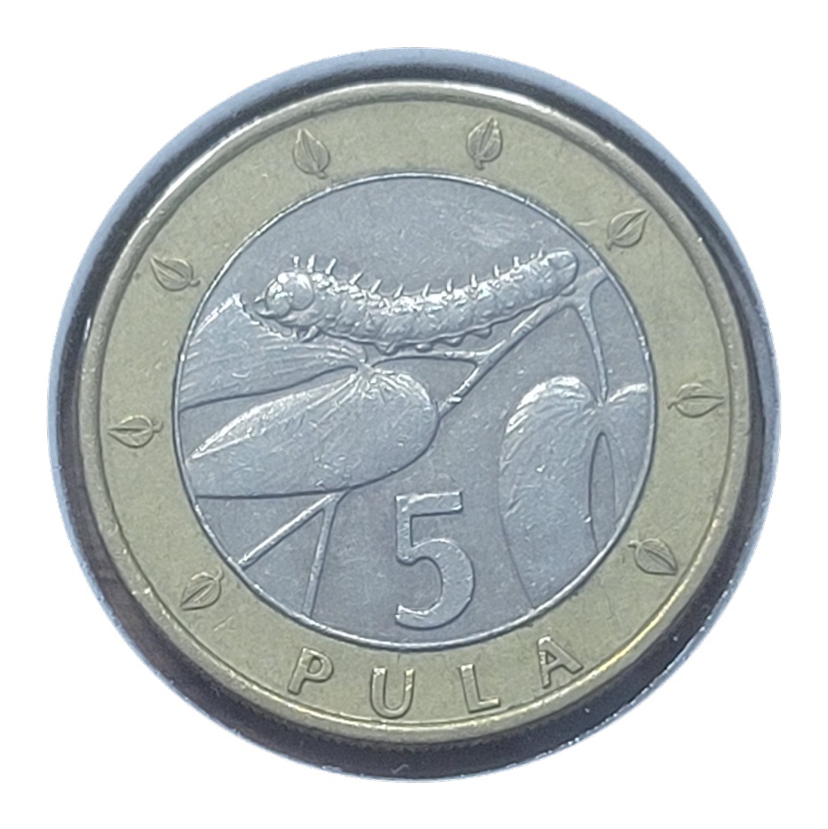 Post-Your-Coins-Representing-The-Animal-Kingdom.