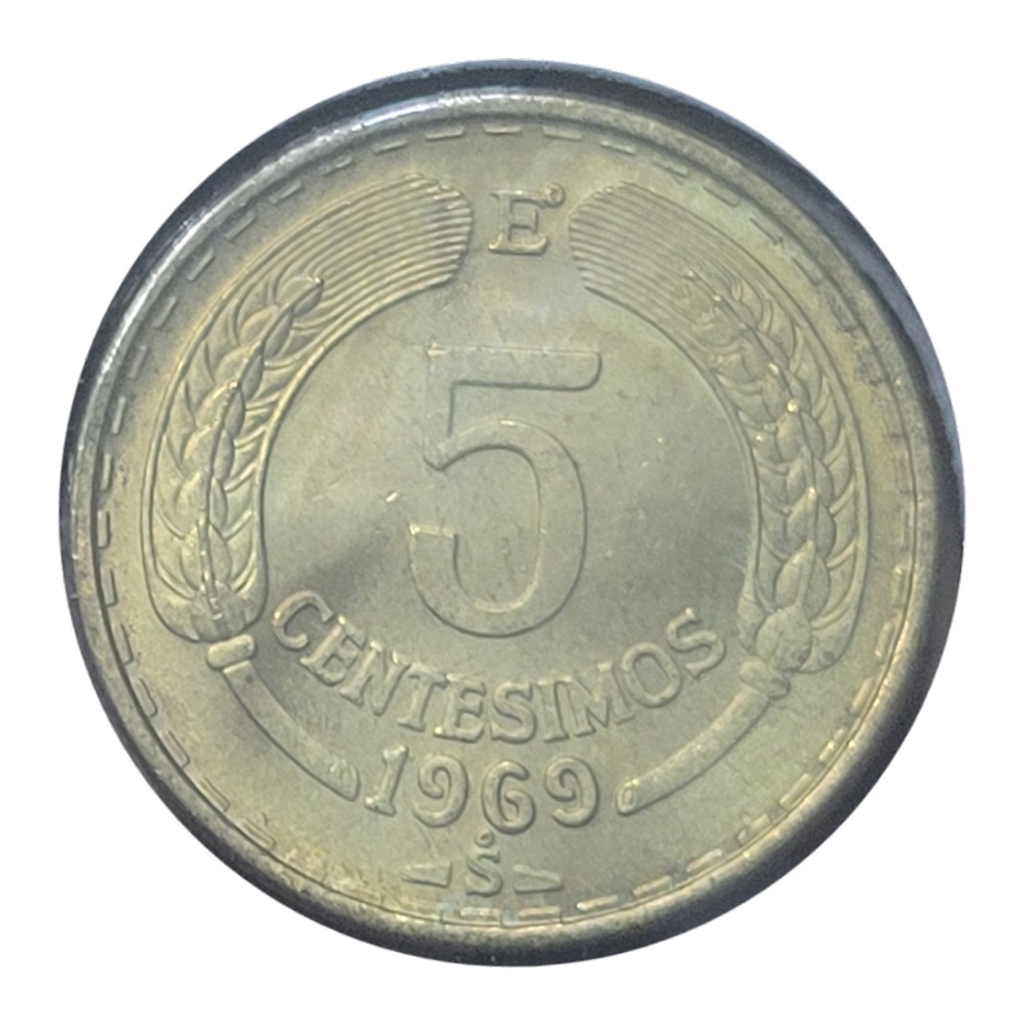 Post-Your-Coins-Representing-The-Animal-Kingdom.