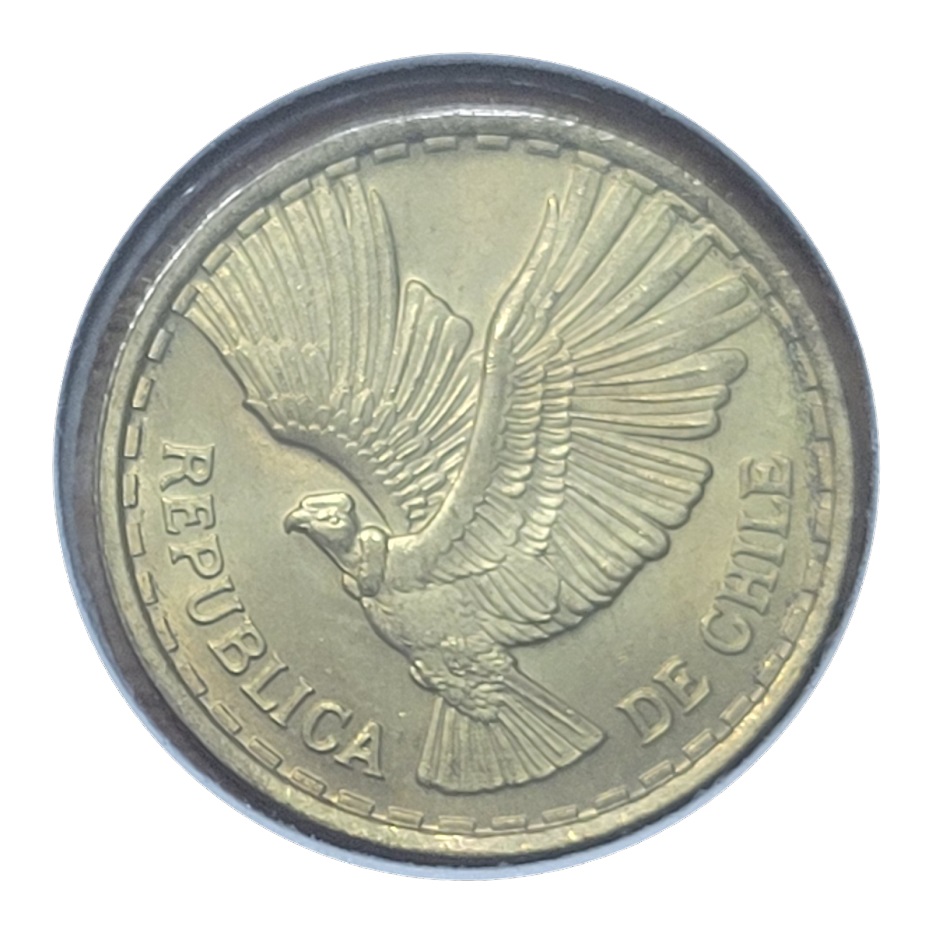 Post-Your-Coins-Representing-The-Animal-Kingdom.