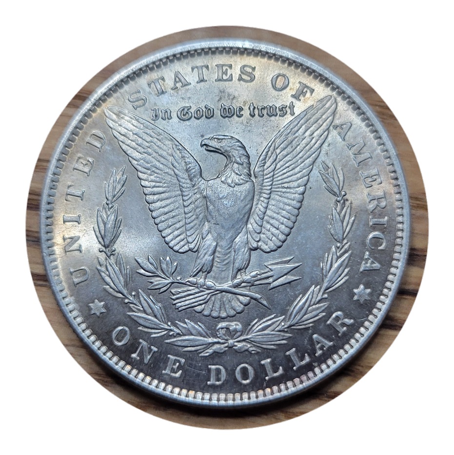 What-Did-You-Add-To-Your-Stash-Today?