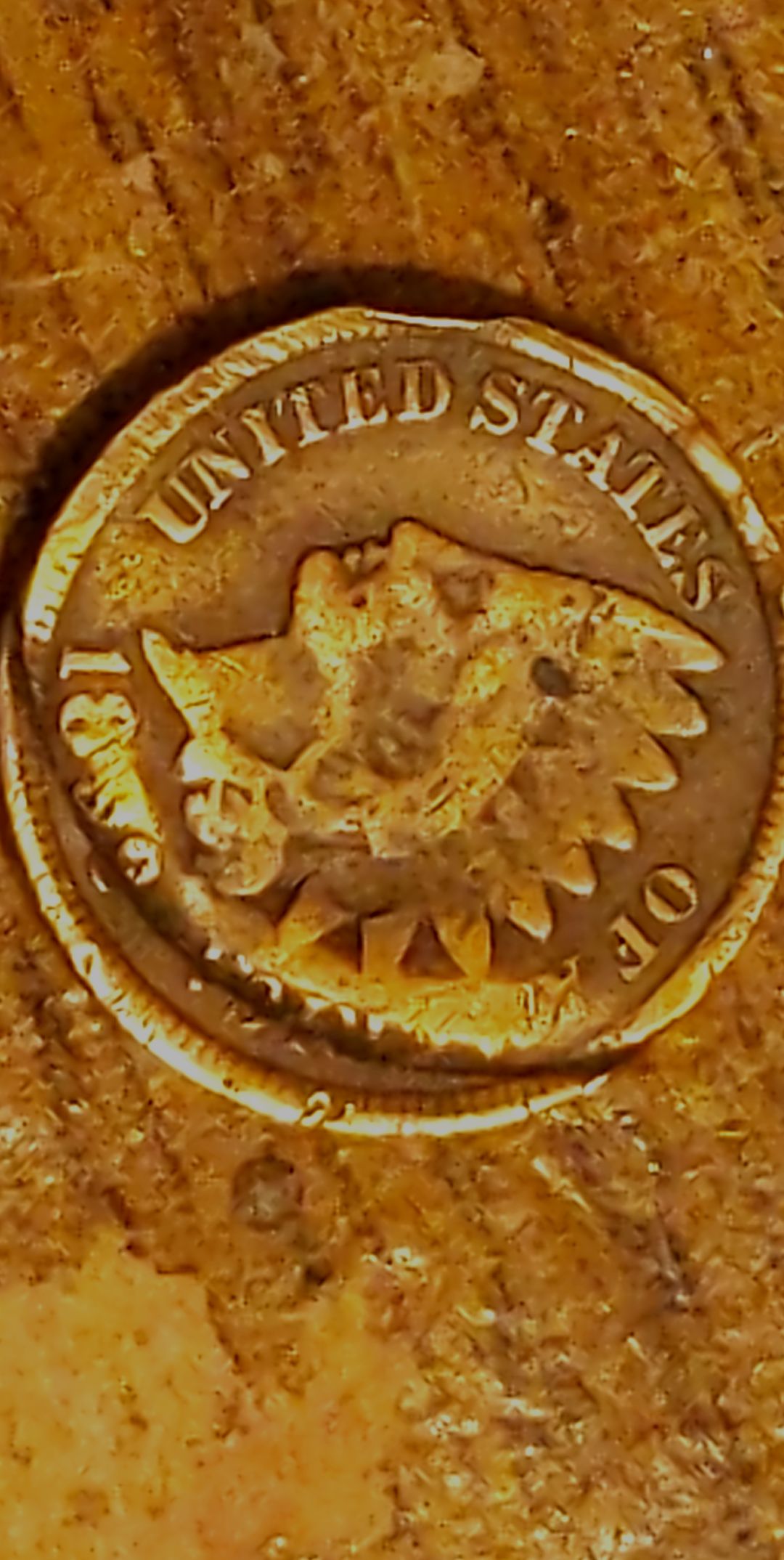 1899?-Indian-Head-Penny-Mint-Error?
