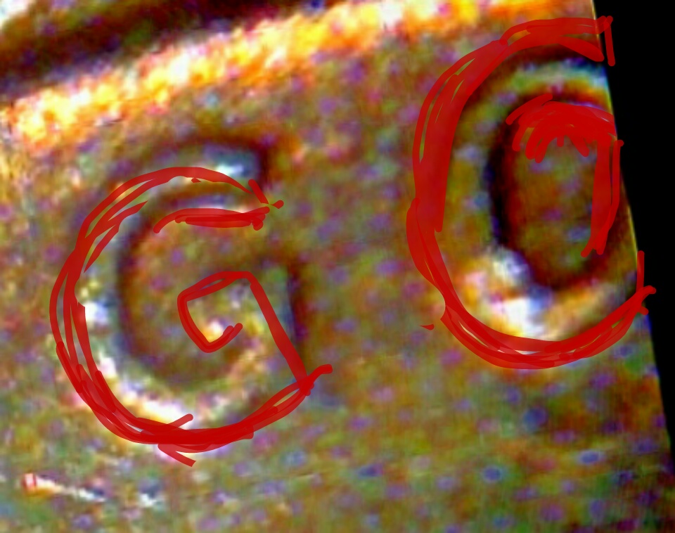 1969-S-Lincoln-Cent