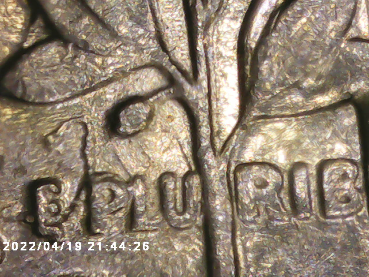 I-Have-A-2020-Dime-That-Has-An-Odd-Twin-On-Reverse-Stalk-Has-Replica