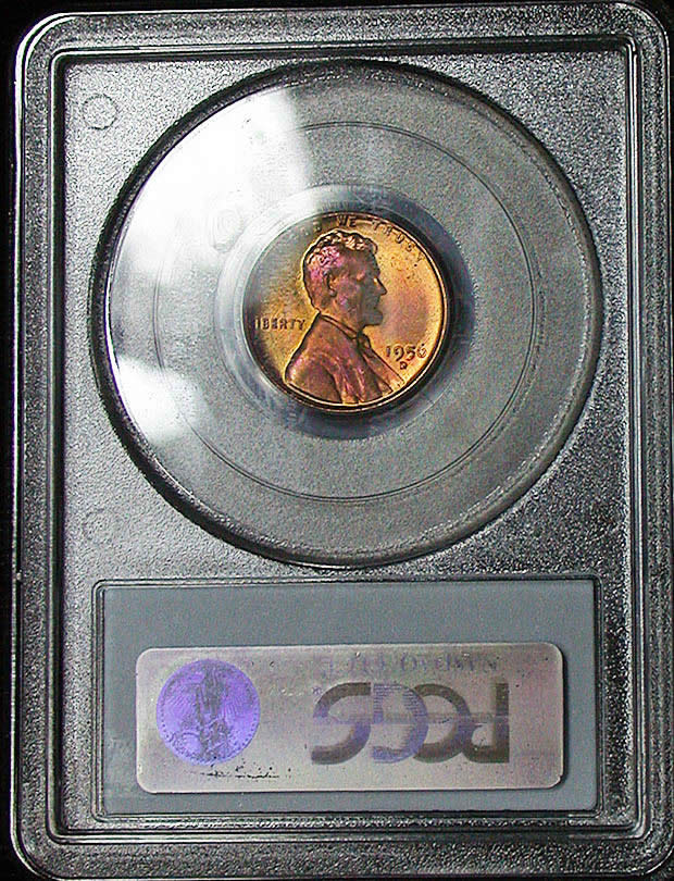 1956-D-Lincoln-Cent-PCGS-R/B-Ms-65-Monster-Reverse-Toner
