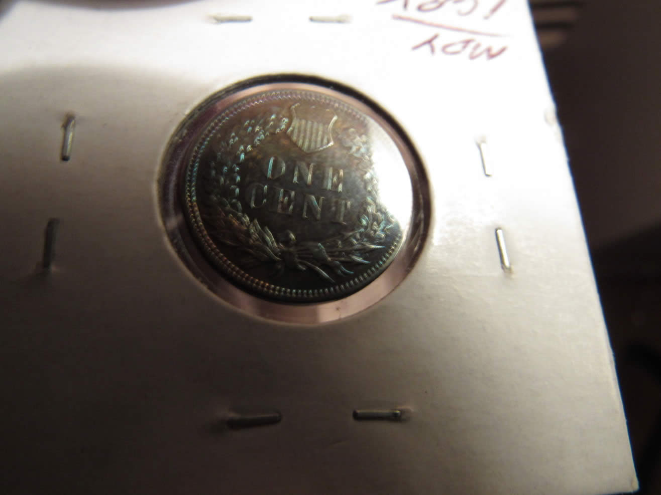 1895-IHP-Proof-Raw-Blue-Toning