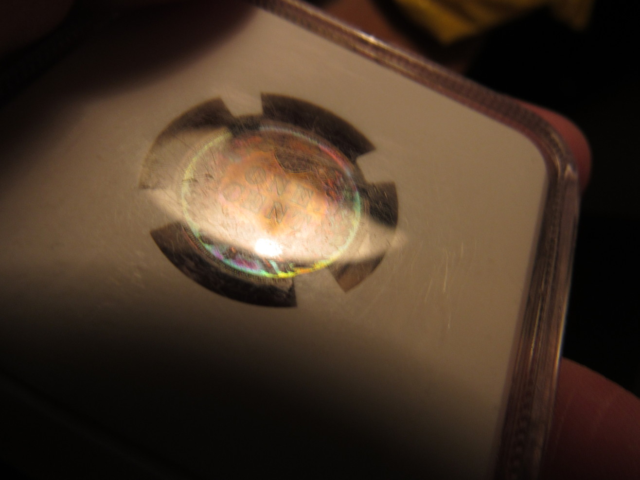 1903-NGC-Indian-Cent-Proof--Brown-New-Photos