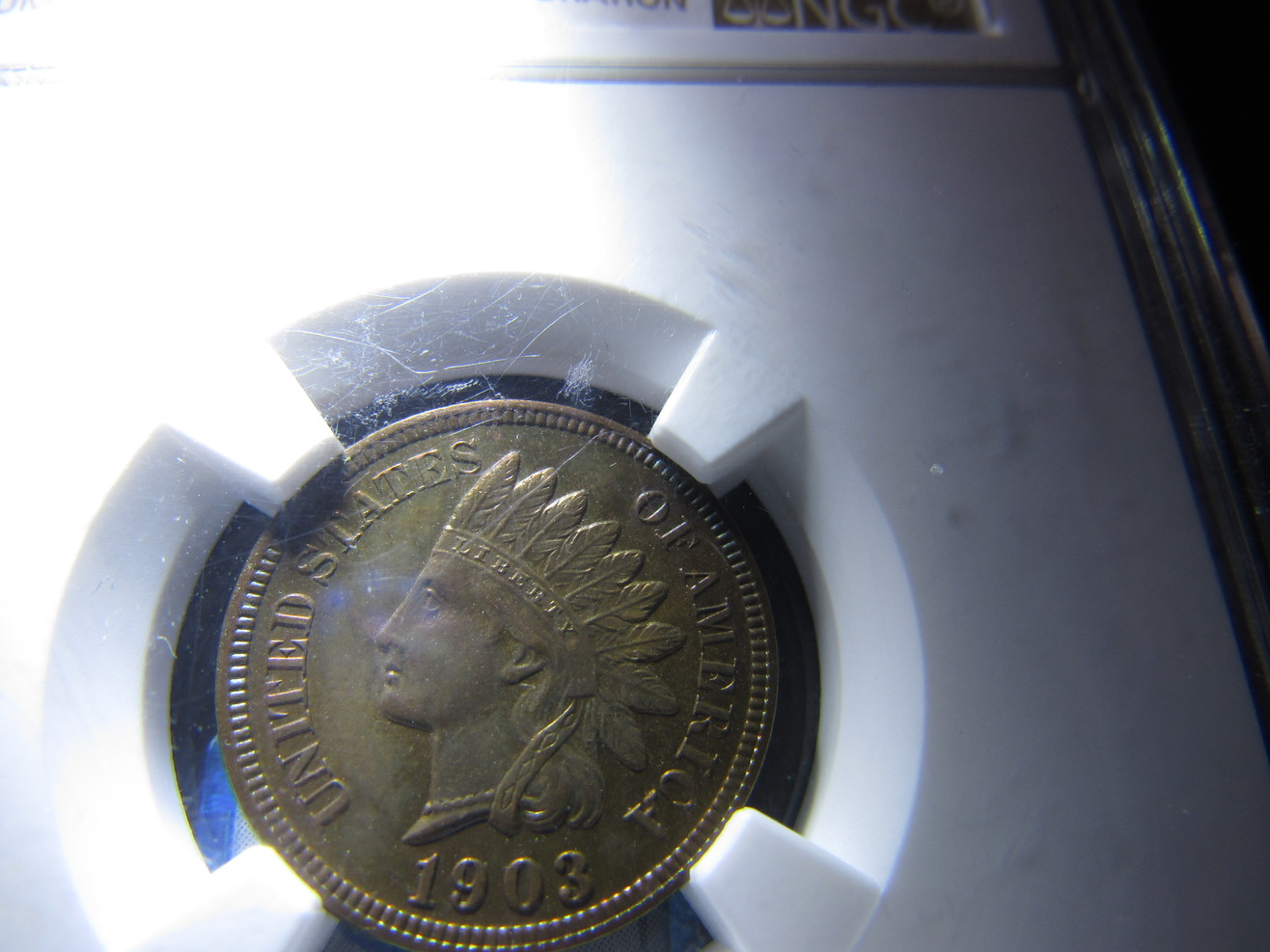 1903-NGC-Indian-Cent-Proof--Brown-New-Photos