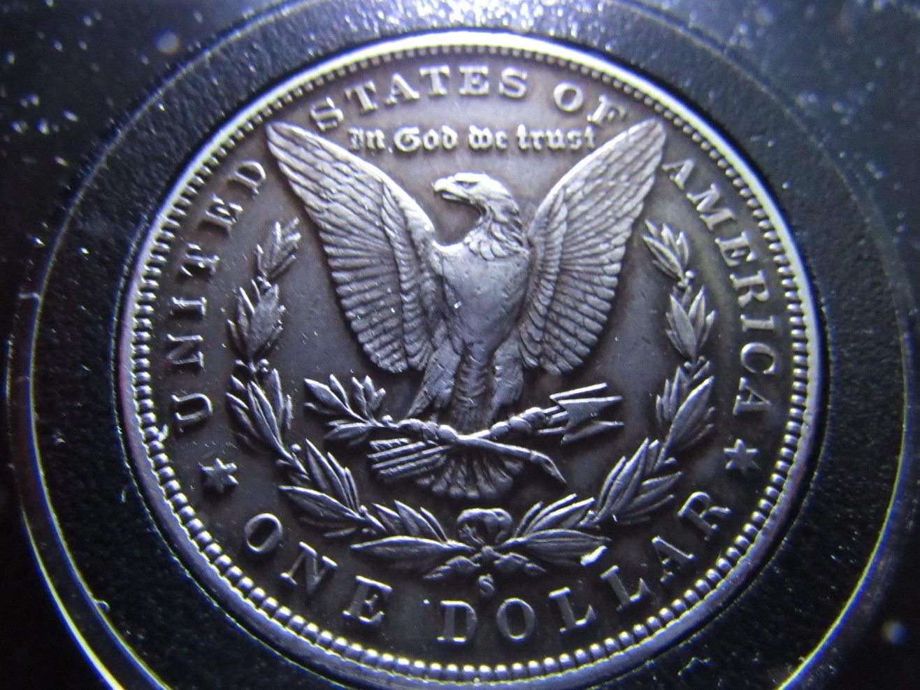 1886-S-Morgan-Dollar-Raw-Grade-Me-Please