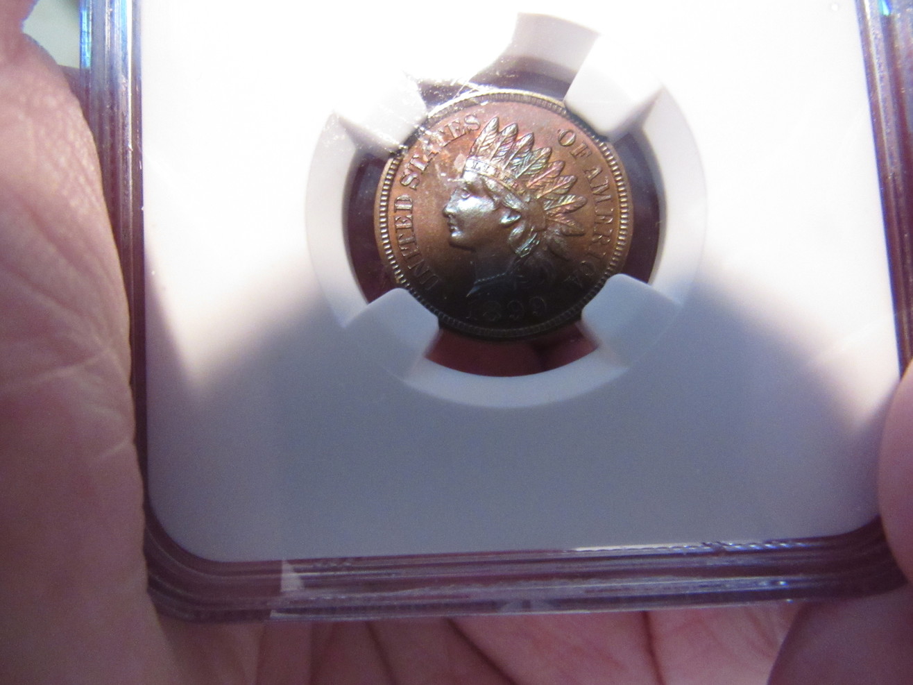 1899-Indian-Cent-PR-64-NGC-Colorful-Headress