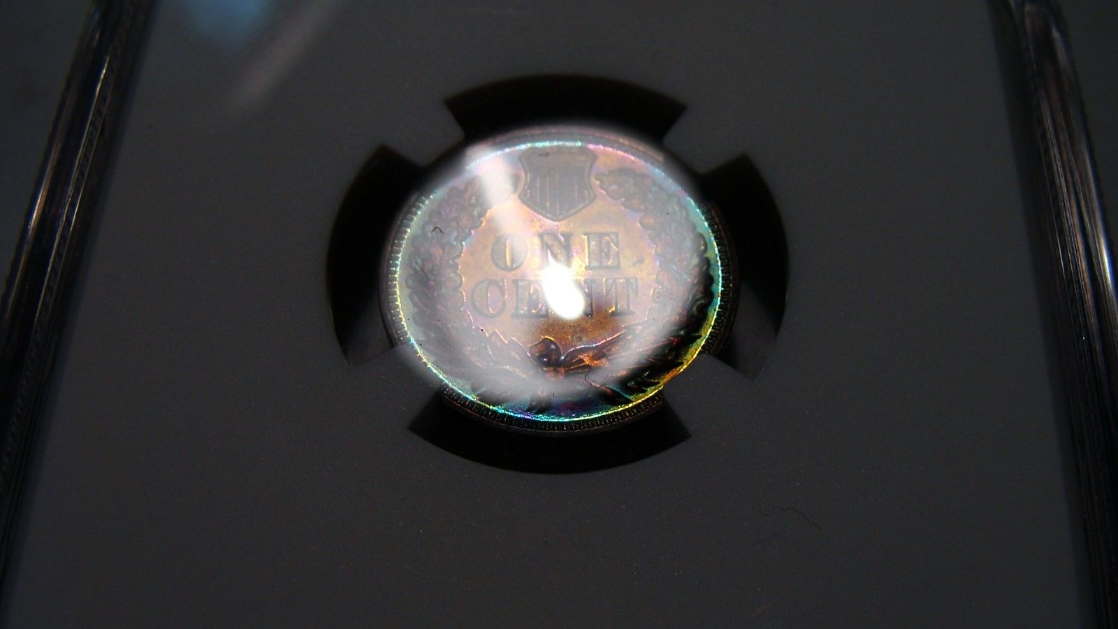 1903-NGC-Indian-Cent-Proof--Brown-New-Photos